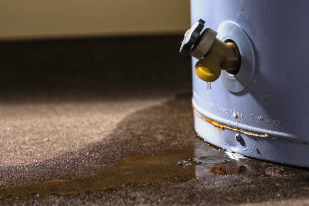Best Flood damage cleanup  in Julesburg, CO