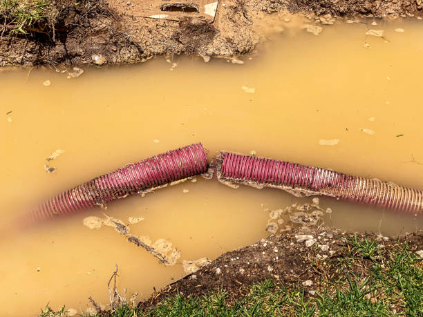 Best Flood restoration services  in Julesburg, CO
