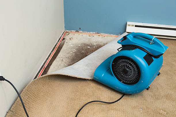 Best Carpet water damage restoration  in Julesburg, CO